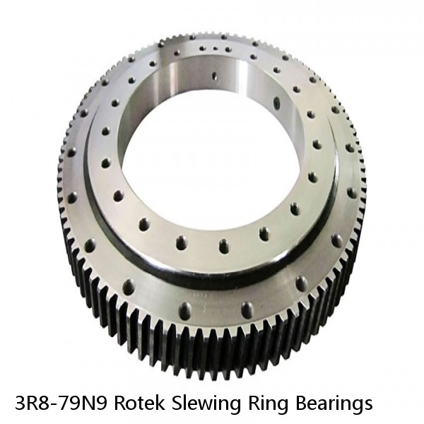 3R8-79N9 Rotek Slewing Ring Bearings