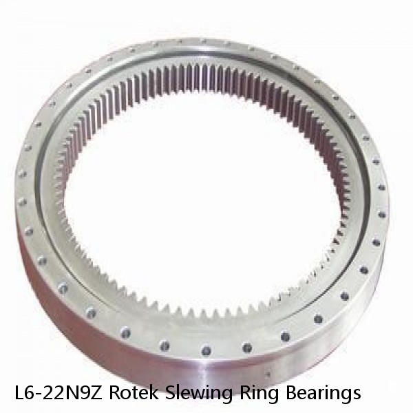 L6-22N9Z Rotek Slewing Ring Bearings