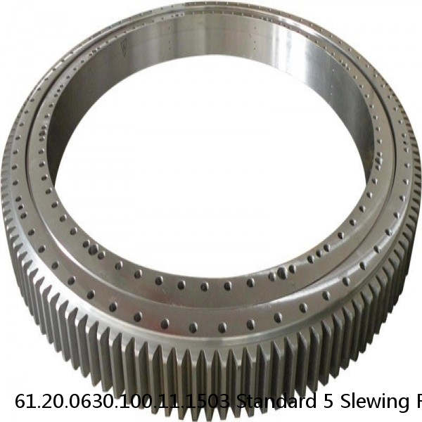 61.20.0630.100.11.1503 Standard 5 Slewing Ring Bearings