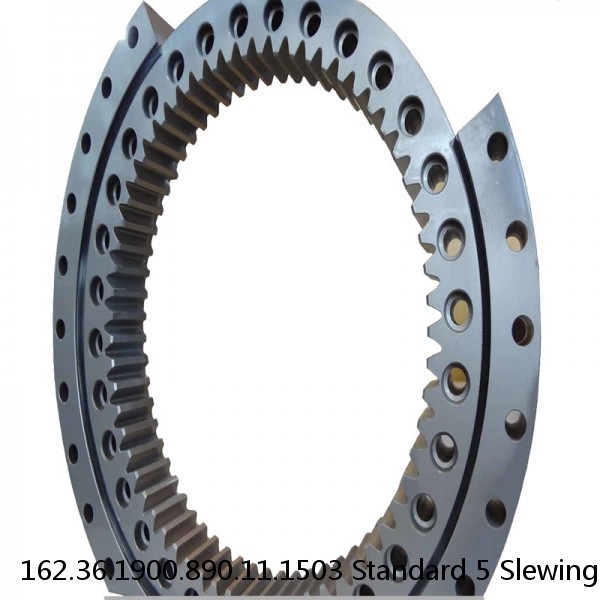 162.36.1900.890.11.1503 Standard 5 Slewing Ring Bearings