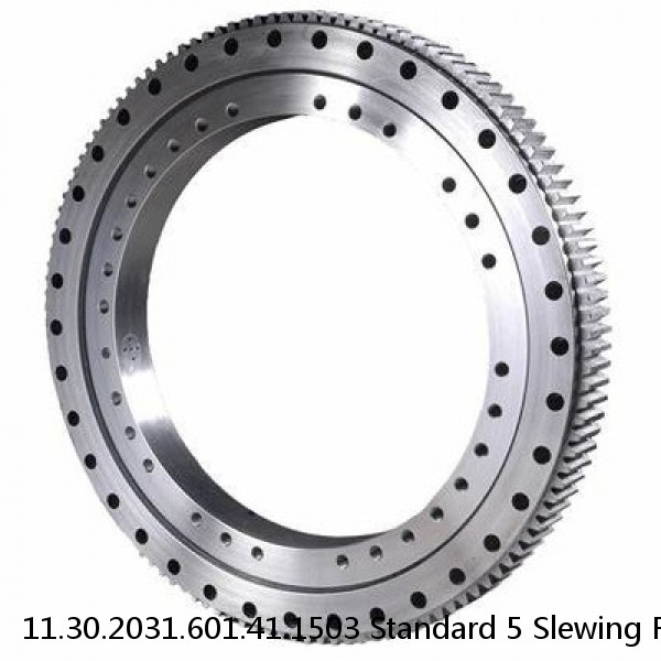 11.30.2031.601.41.1503 Standard 5 Slewing Ring Bearings