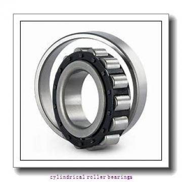 FAG NUP2308-E-M1-C3 Cylindrical Roller Bearings