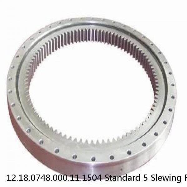 12.18.0748.000.11.1504 Standard 5 Slewing Ring Bearings