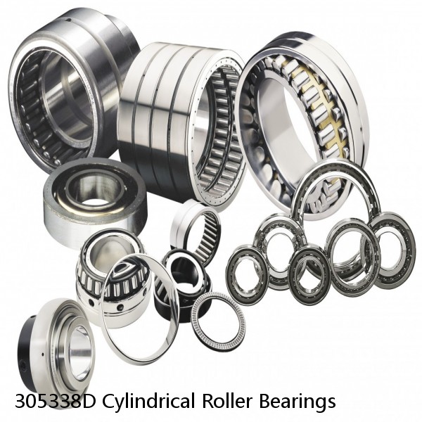 305338D Cylindrical Roller Bearings