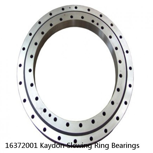 16372001 Kaydon Slewing Ring Bearings