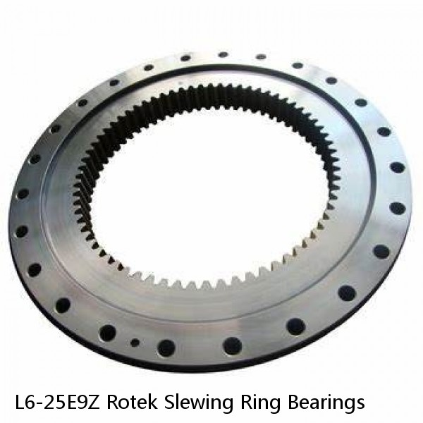 L6-25E9Z Rotek Slewing Ring Bearings