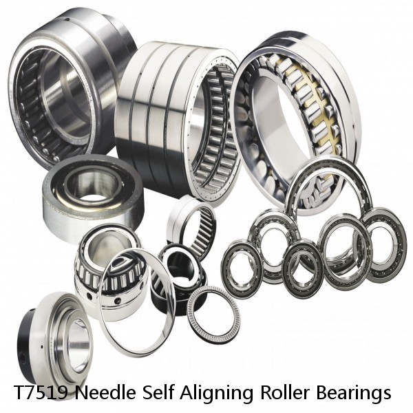 T7519 Needle Self Aligning Roller Bearings