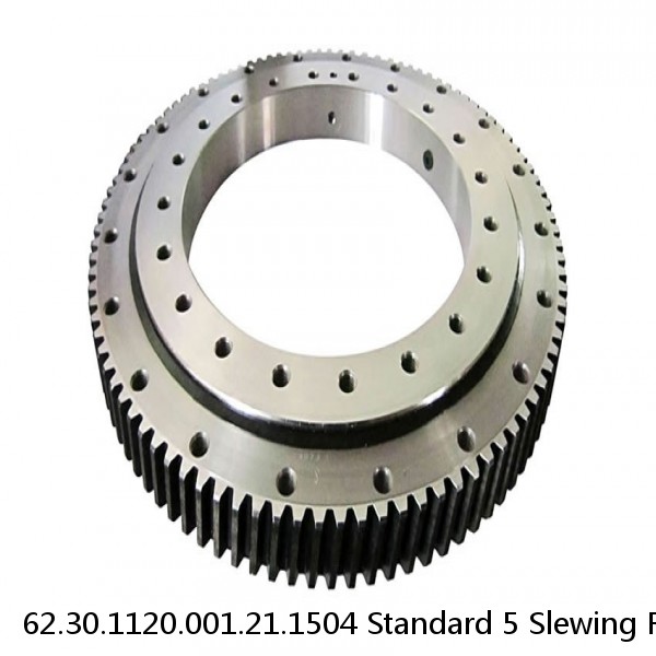 62.30.1120.001.21.1504 Standard 5 Slewing Ring Bearings