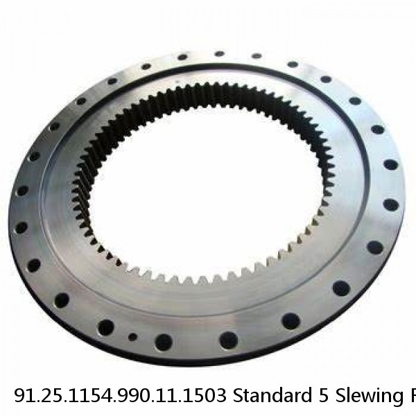 91.25.1154.990.11.1503 Standard 5 Slewing Ring Bearings