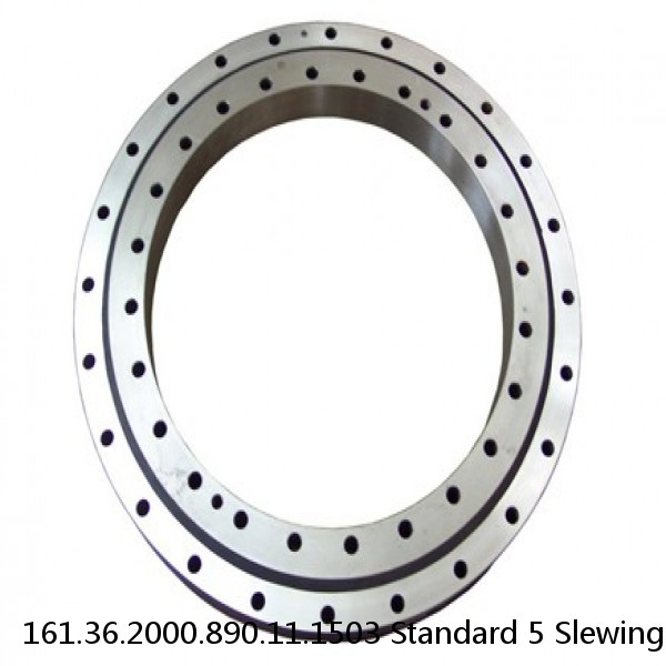 161.36.2000.890.11.1503 Standard 5 Slewing Ring Bearings