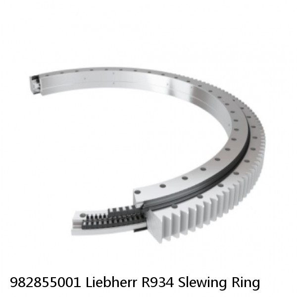 982855001 Liebherr R934 Slewing Ring