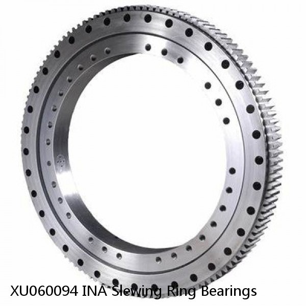 XU060094 INA Slewing Ring Bearings