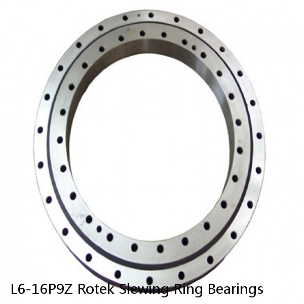 L6-16P9Z Rotek Slewing Ring Bearings