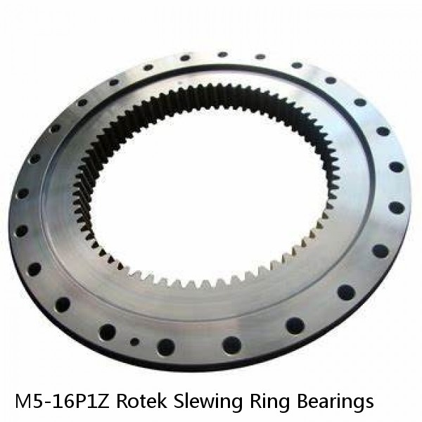 M5-16P1Z Rotek Slewing Ring Bearings