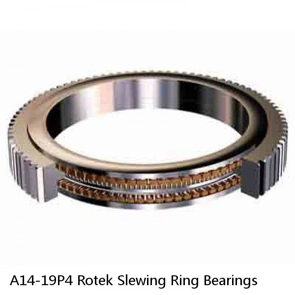 A14-19P4 Rotek Slewing Ring Bearings