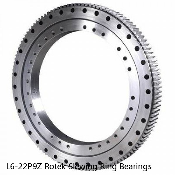 L6-22P9Z Rotek Slewing Ring Bearings