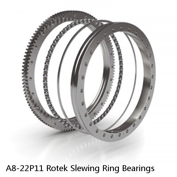 A8-22P11 Rotek Slewing Ring Bearings