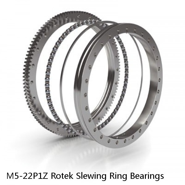 M5-22P1Z Rotek Slewing Ring Bearings