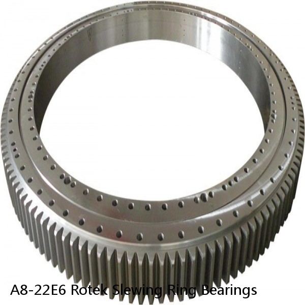 A8-22E6 Rotek Slewing Ring Bearings