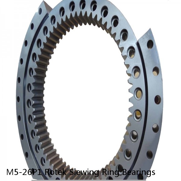 M5-26P1 Rotek Slewing Ring Bearings