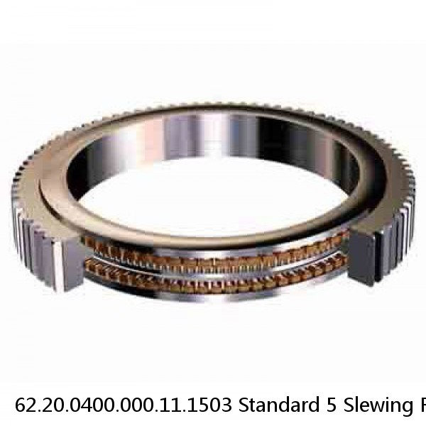 62.20.0400.000.11.1503 Standard 5 Slewing Ring Bearings