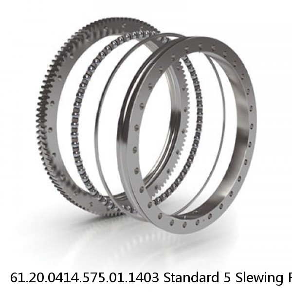 61.20.0414.575.01.1403 Standard 5 Slewing Ring Bearings