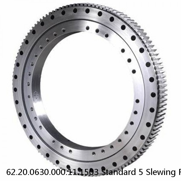 62.20.0630.000.11.1503 Standard 5 Slewing Ring Bearings