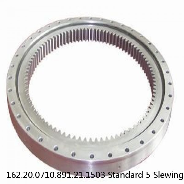 162.20.0710.891.21.1503 Standard 5 Slewing Ring Bearings