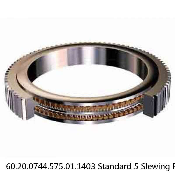 60.20.0744.575.01.1403 Standard 5 Slewing Ring Bearings