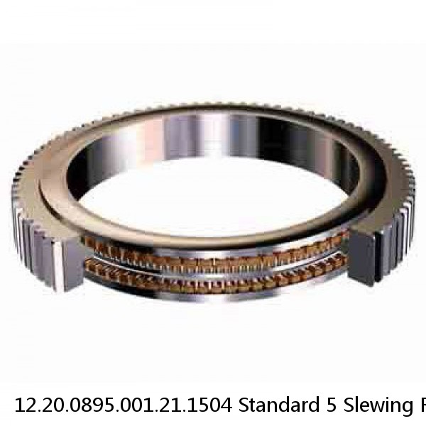 12.20.0895.001.21.1504 Standard 5 Slewing Ring Bearings