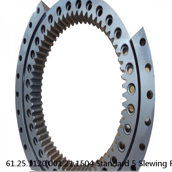 61.25.1120.001.21.1504 Standard 5 Slewing Ring Bearings