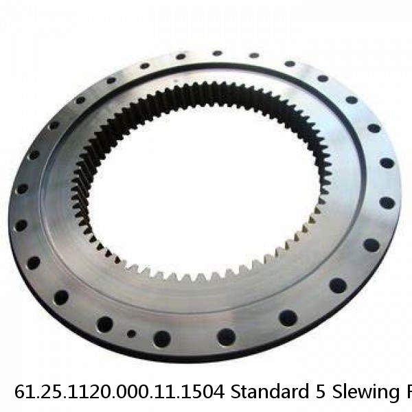 61.25.1120.000.11.1504 Standard 5 Slewing Ring Bearings