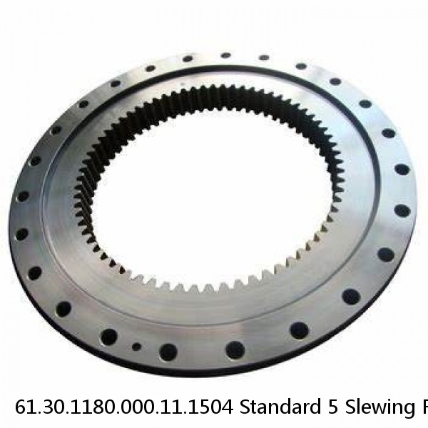 61.30.1180.000.11.1504 Standard 5 Slewing Ring Bearings