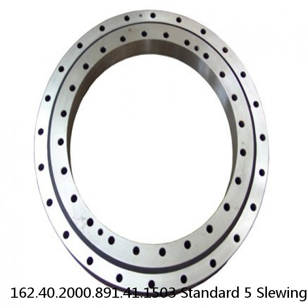 162.40.2000.891.41.1503 Standard 5 Slewing Ring Bearings