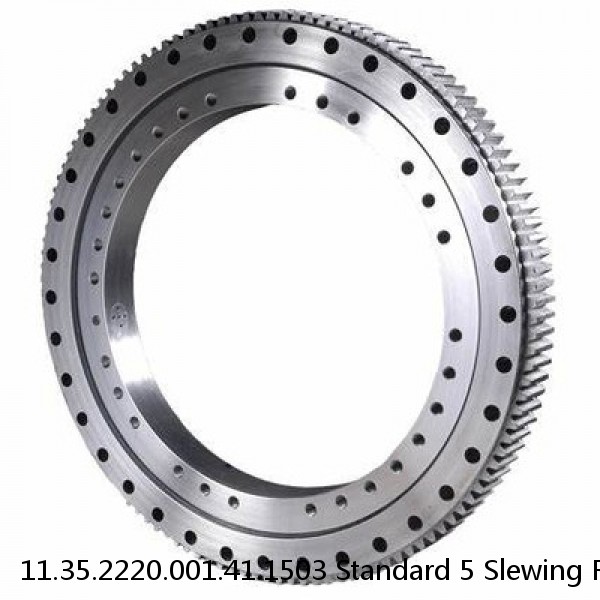 11.35.2220.001.41.1503 Standard 5 Slewing Ring Bearings