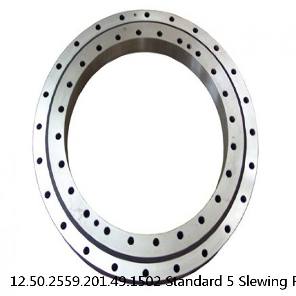 12.50.2559.201.49.1502 Standard 5 Slewing Ring Bearings