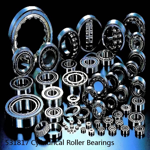 531817 Cylindrical Roller Bearings