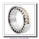 170 mm x 310 mm x 86 mm  FAG NU2234-E-M1 Cylindrical Roller Bearings