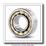 100 mm x 215 mm x 47 mm  FAG NJ320-E-TVP2 Cylindrical Roller Bearings