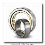 45 mm x 100 mm x 25 mm  FAG N309-E-TVP2 Cylindrical Roller Bearings