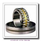 80 mm x 170 mm x 39 mm  FAG NJ316-E-TVP2 Cylindrical Roller Bearings