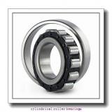 35 mm x 80 mm x 21 mm  FAG NJ307-E-TVP2 Cylindrical Roller Bearings