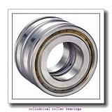 95 mm x 200 mm x 45 mm  FAG NU319-E-TVP2 Cylindrical Roller Bearings