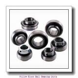 SKF P2BL 115-TF-AH Pillow Block Ball Bearing Units